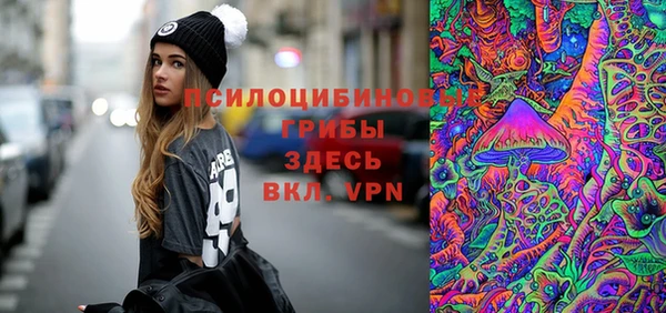 дживик Аркадак