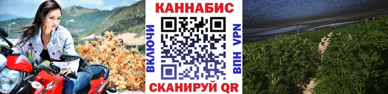 Марихуана индика Новодвинск